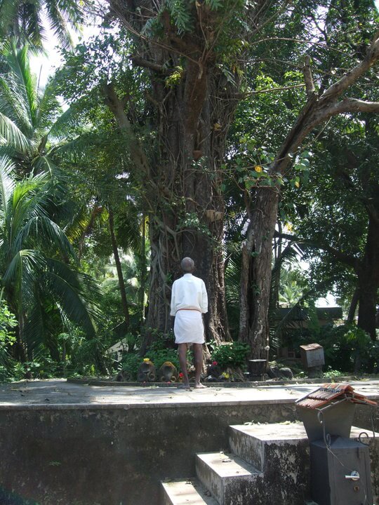 indien-reise